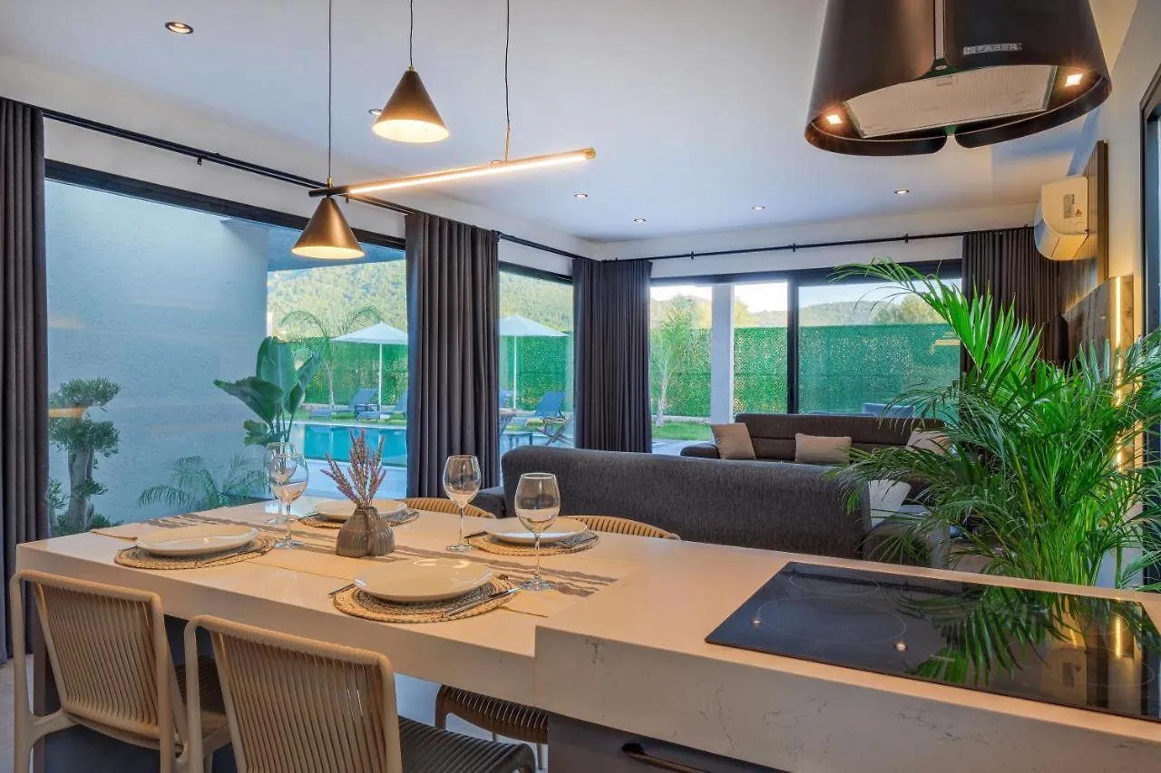 Gaia House 1 Villa Fethiye